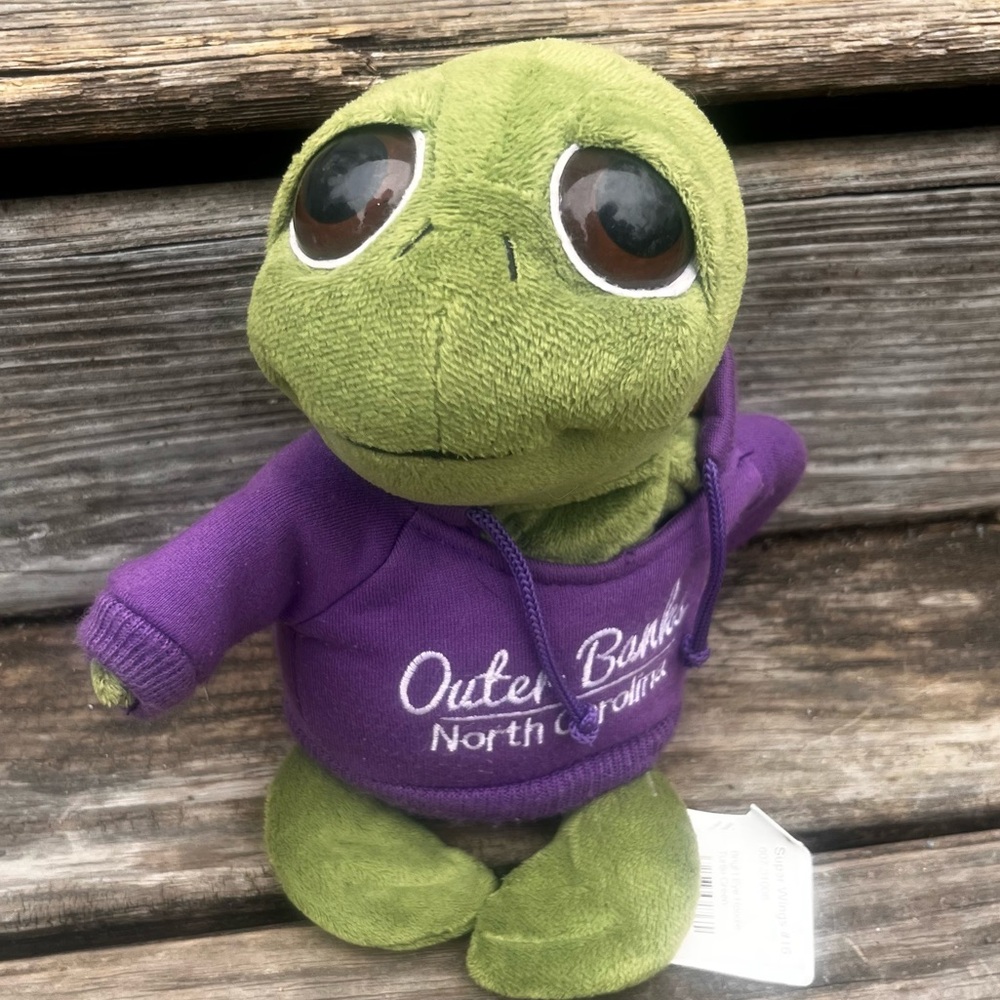 THE PETTING ZOO GREEN SEA TURTLE PLUSH WITH PURPLE HOODIE OUTER BANKS NC